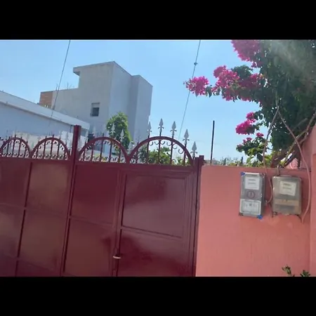 Terracotta House 2