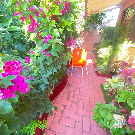 Terracotta House 2 Apartment